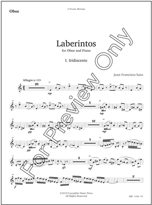 Laberintos, by Juan Francisco Sans