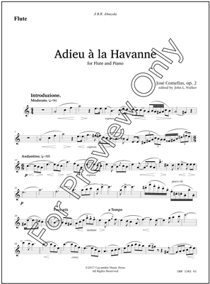 Adieu a la Havanne, by Jose Comellas