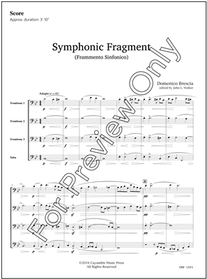 Symphonic Fragment, by Domenico Brescia