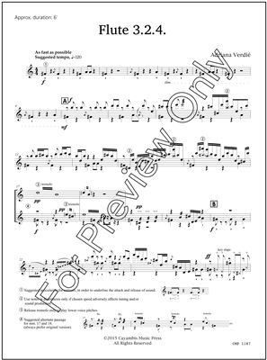 Flute 3.2.4., by Adriana Verdie