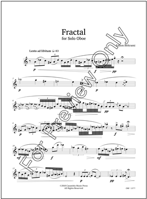 Fractal, by Edson Beltrami