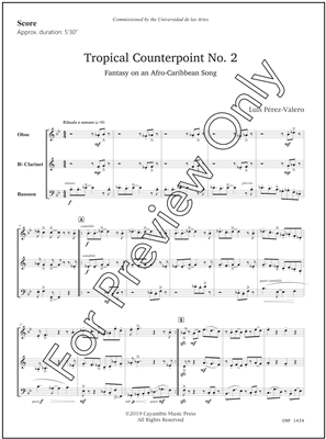 Tropical Counterpoint No. 2, by Luis Perez Valero
