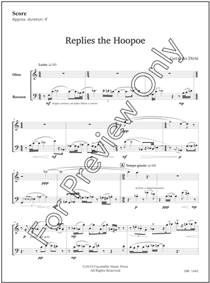 Replies the Hoopoe, by Gerardo Dirie